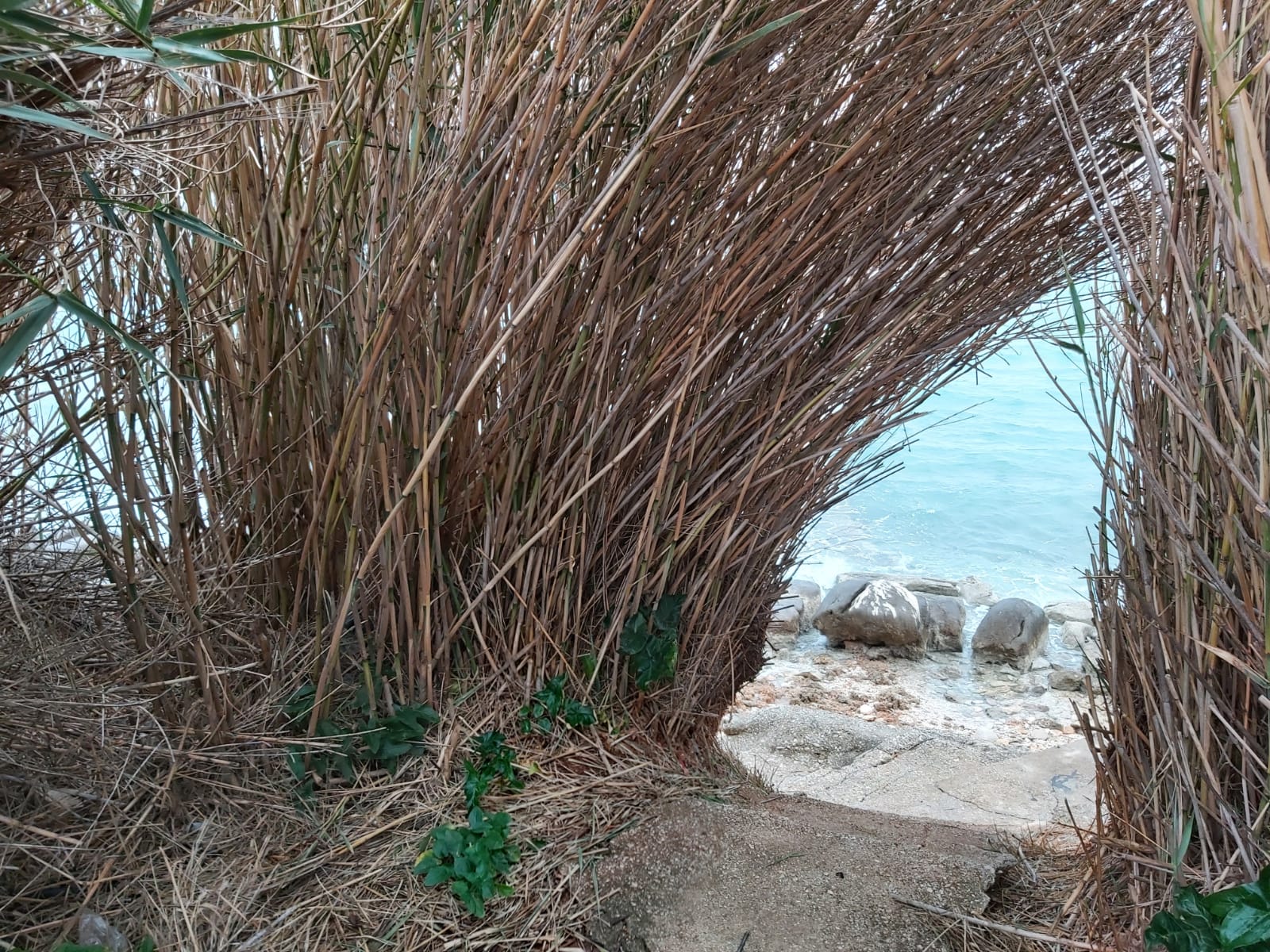Nekretnine Globus
